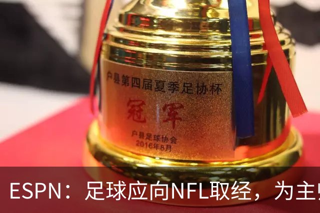 ESPN：足球应向NFL取经，为主帅引入VAR判罚挑战机制